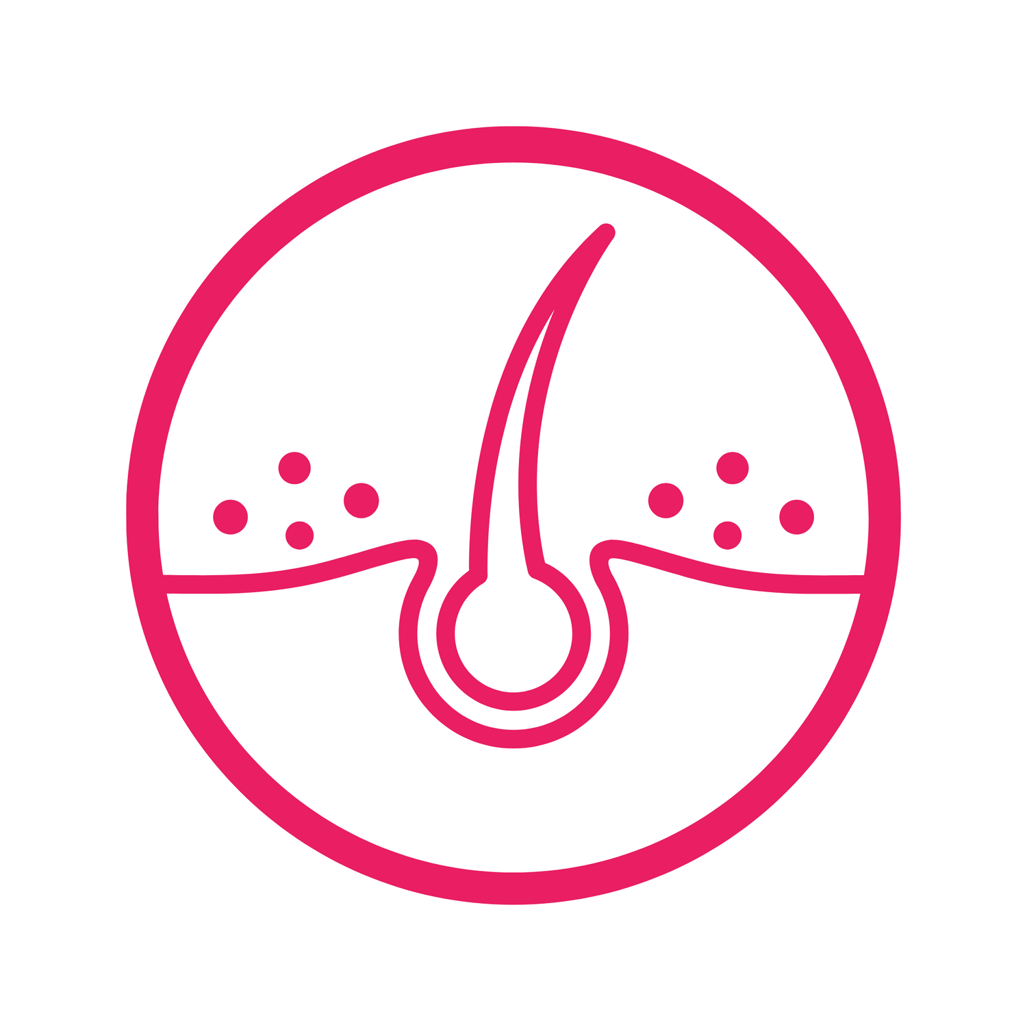 Hair Health